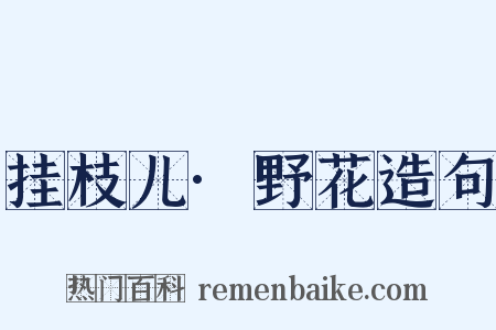 挂枝儿·野花造句是什么意思的图片